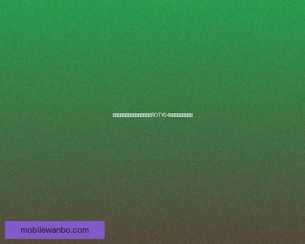 皮尔斯为弗拉格力挺新秀三人缺席ROTY04詹瓜之争成历史例证